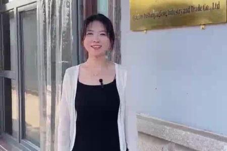大顺小型四驱气吸甜菜芥菜播种机