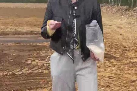 大顺气吸胡萝卜播种机介绍