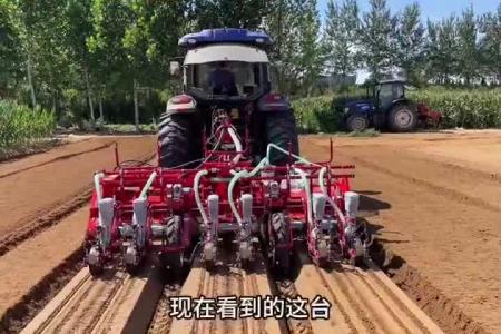 大顺三垄六行气吸青白萝卜播种机