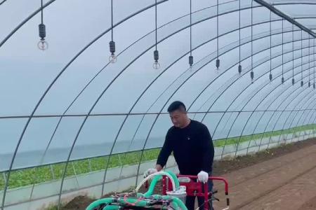 大顺大棚气吸油菜播种机