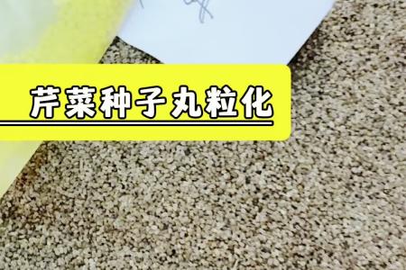 凯若特番茄种子丸粒机 丸粒大小可定制 操作简单