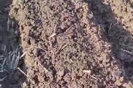大顺大型白萝卜播种机介绍