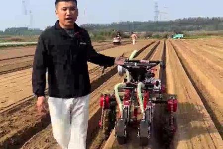 大顺垄上四驱自走式萝卜白菜播种机
