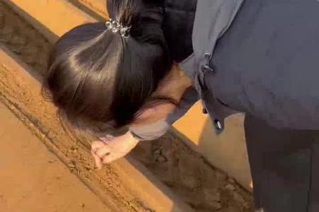 大顺大型气吸蔬菜播种机
