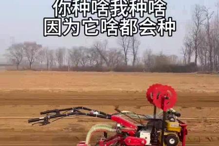 大顺小型垄上四驱气吸萝卜白菜播种机