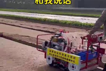 大顺平地气吸蔬菜播种机