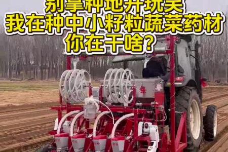 大顺一垄多行气吸娃娃菜播种机