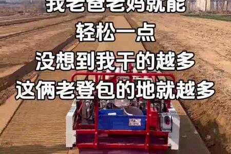 大顺大棚平地气吸快菜播种机