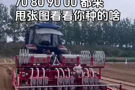 大顺大型拖拉机牵引气吸萝卜白菜播种机