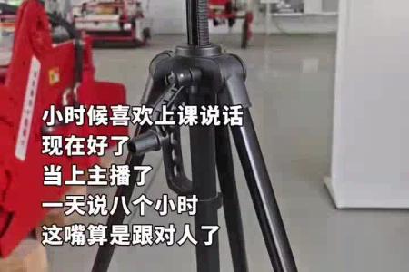 大顺气吸蔬菜播种机源头厂家支持定制
