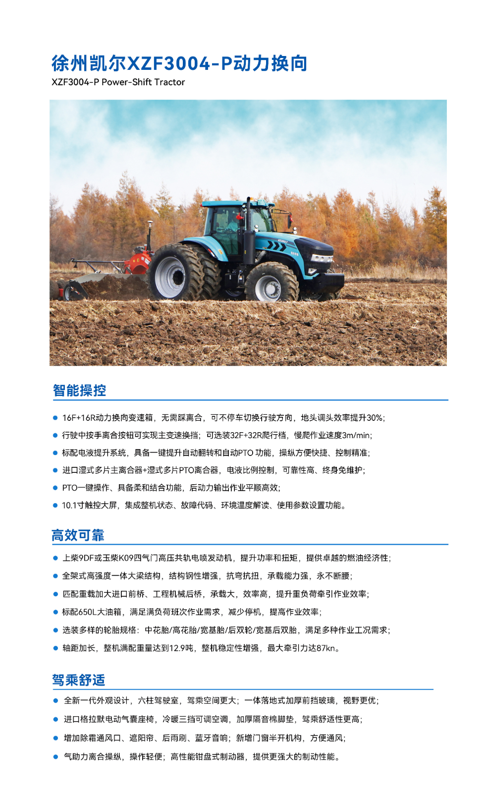 XZF3004-P.1.jpg