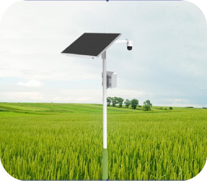 图片11 图片11.png