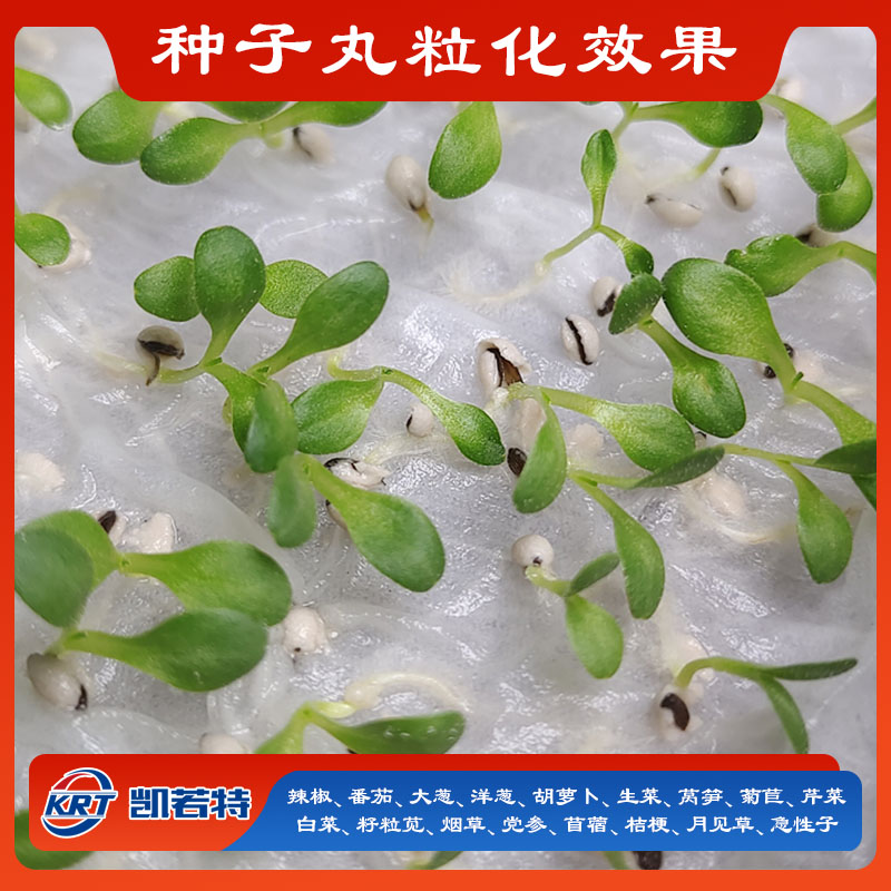 丸粒画板 1 拷贝.jpg