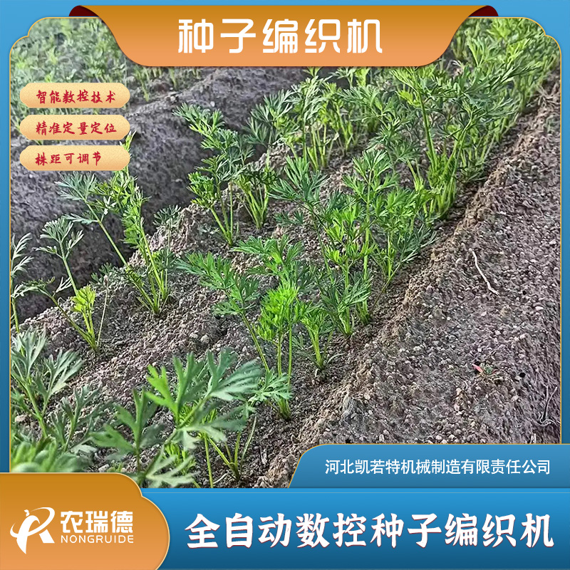 编织育苗1.jpg